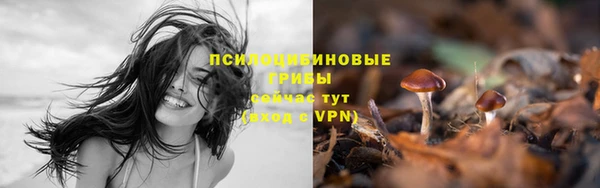 дмт Богородицк
