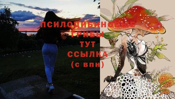 мет Бородино