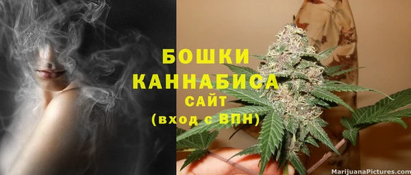 дмт Богородицк